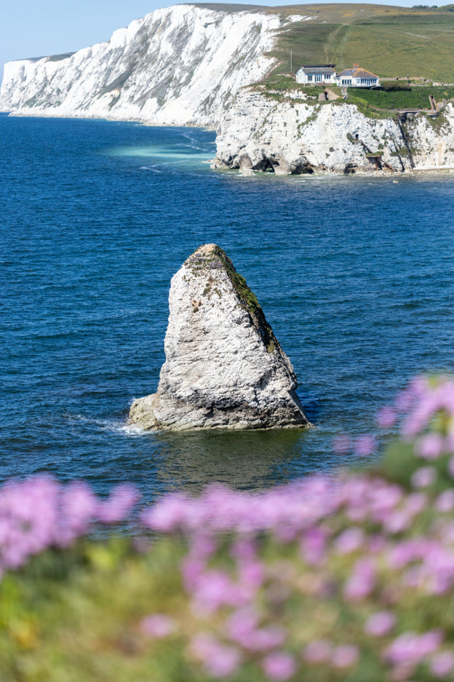 Sustainable Island Adventures: Eco-Friendly Ways to Explore the Isle of Wight