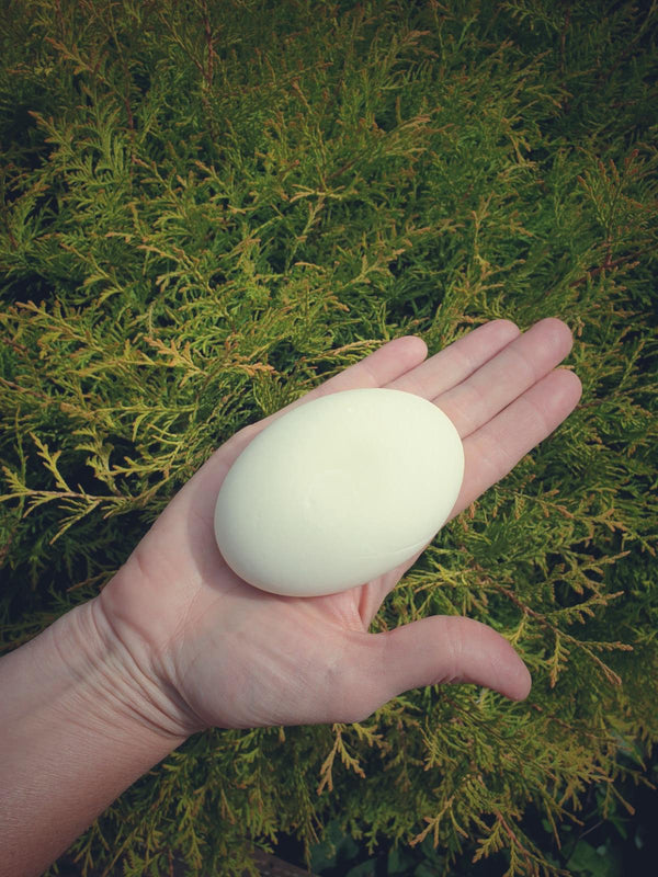 Bare Bar -Peppermint & Spearmint Strong Protection Natural Deodorant - 90g